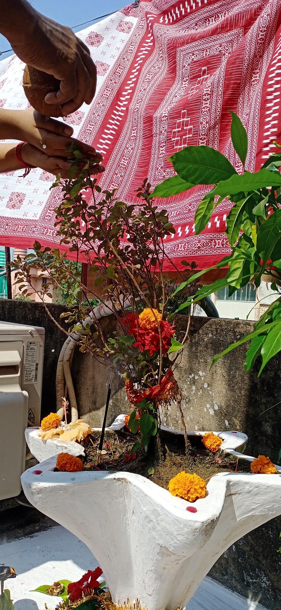 Kumar Purnima – The Festival of Unmarried Girls